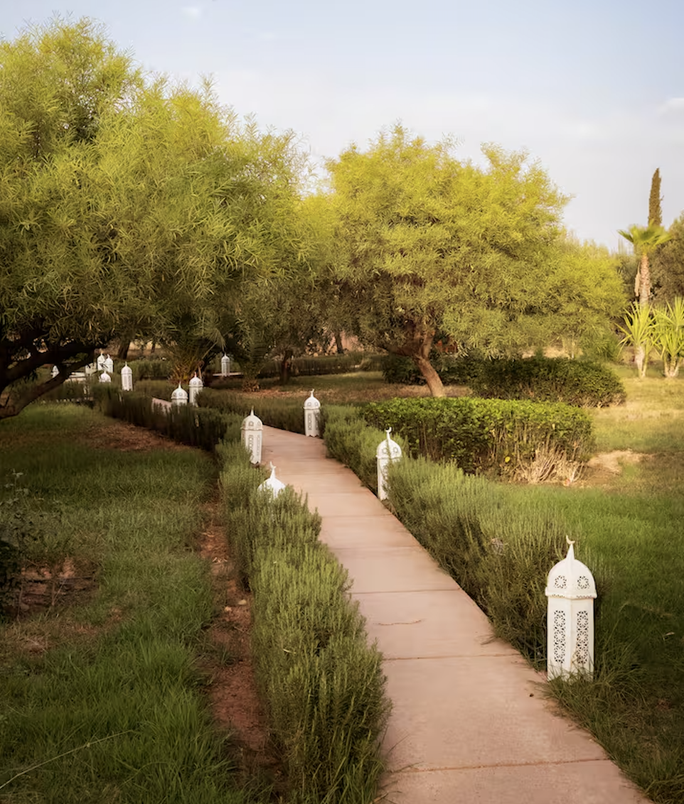 The Gardens